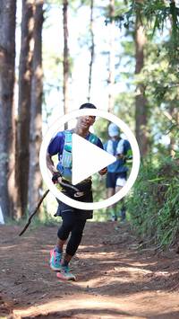 BIB:  <button type="button" onclick="openModal(26568634)" class="btn btn-primary btn-sm float-right" data-toggle="modal" data-target=".modal-high-quality">
                <i class="fa fa-download"></i> Download
                </button>